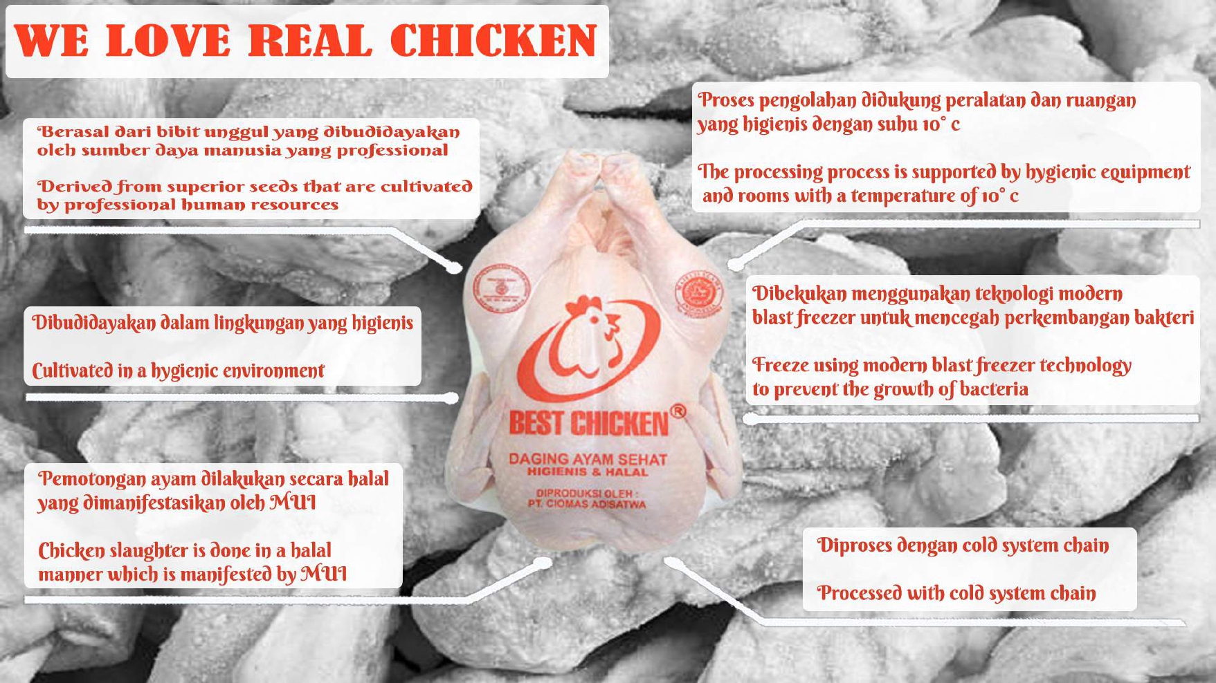 Katalog Poultry Product Compress_page-0003